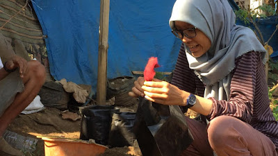 Bikin Irigasi Sistem Kapiler Bersama Mahasiswa PKL UB Jurusan Pertanian