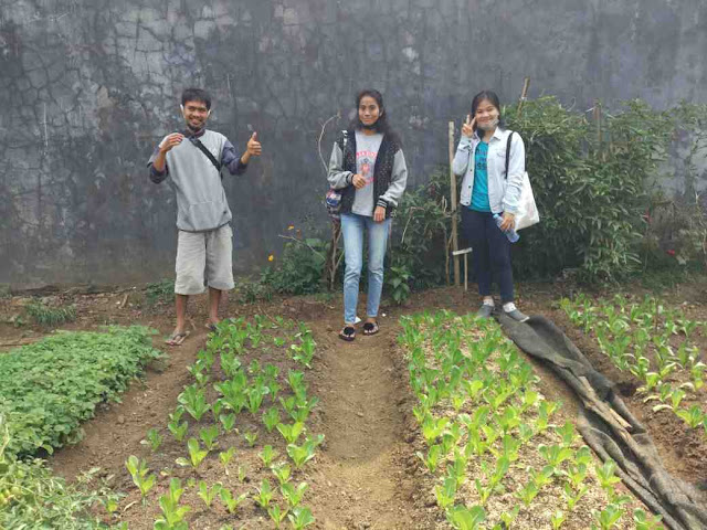 Ria (kanan) dan temannya (dua dari kanan) bersama tim Gogrin Mahasiswa agribisnis widya karya malang