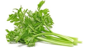 Seledri Organik / 100 g