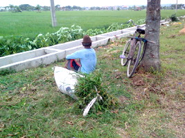 Petani Organik Modal Telaten Bisa Jadi Raja