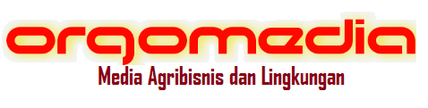orgomedia orgomedia